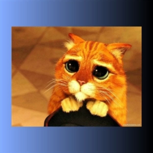 puss in boots eyes 2 meme template