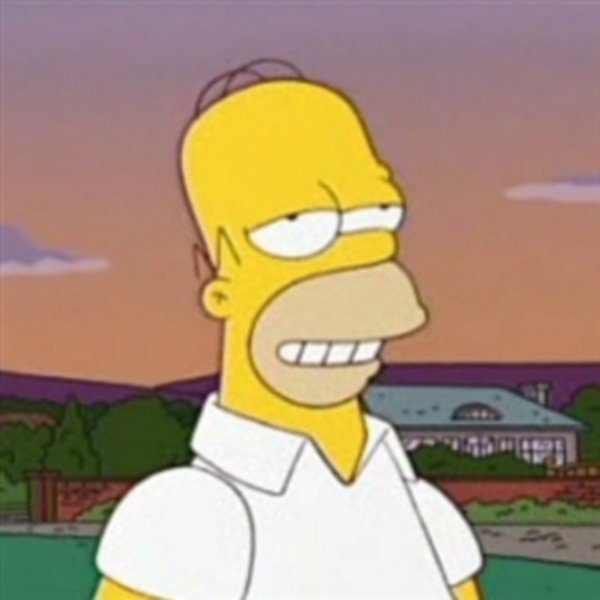 Homer MMM meme template