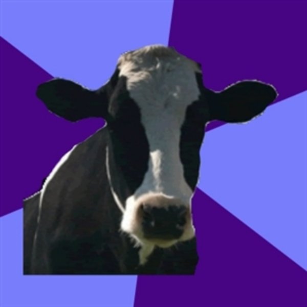 Coworker Cow meme template