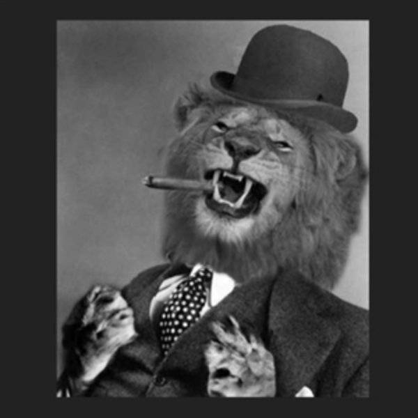 Gentleman Lion meme template