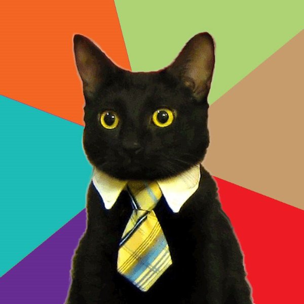 BusinessCat meme template