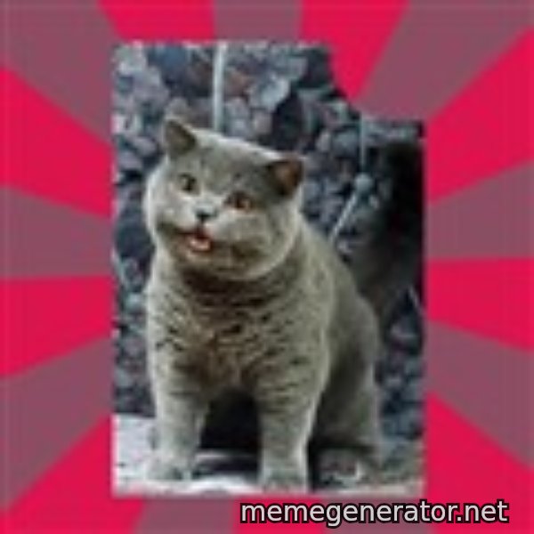 I can haz meme template