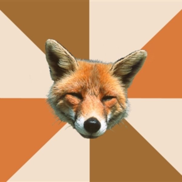Condescending Fox meme template