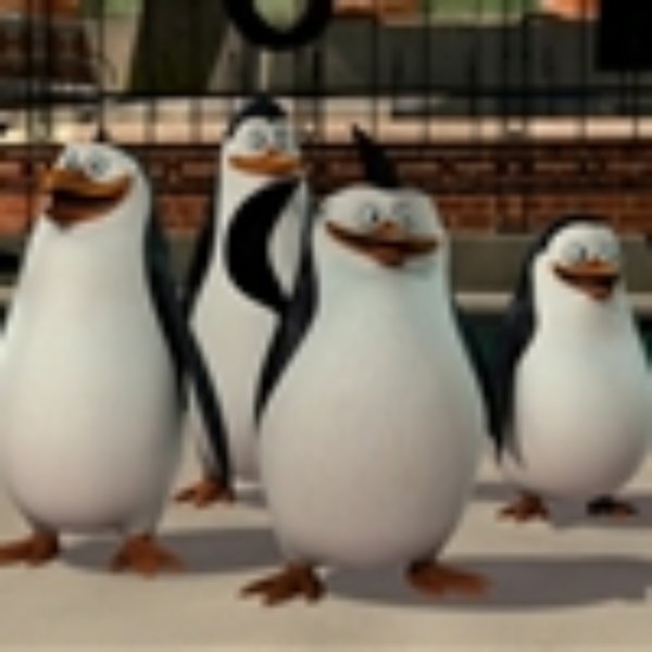 Madagascar Penguin meme template
