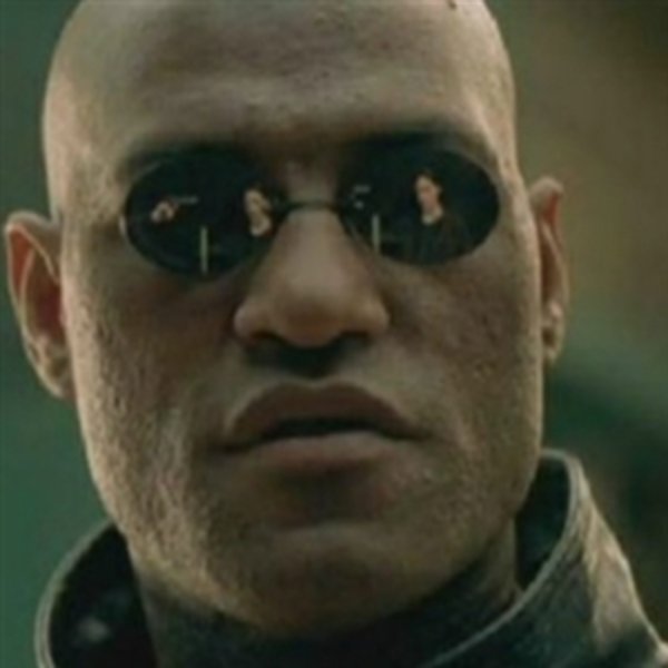 Nikko Morpheus meme template