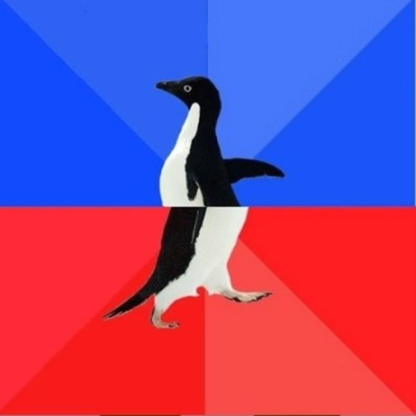 Socially Awkward to Awesome Penguin meme template