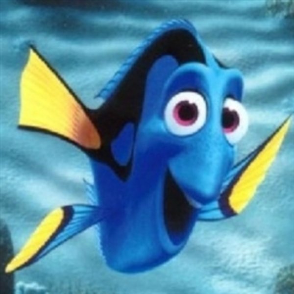 Dory meme template
