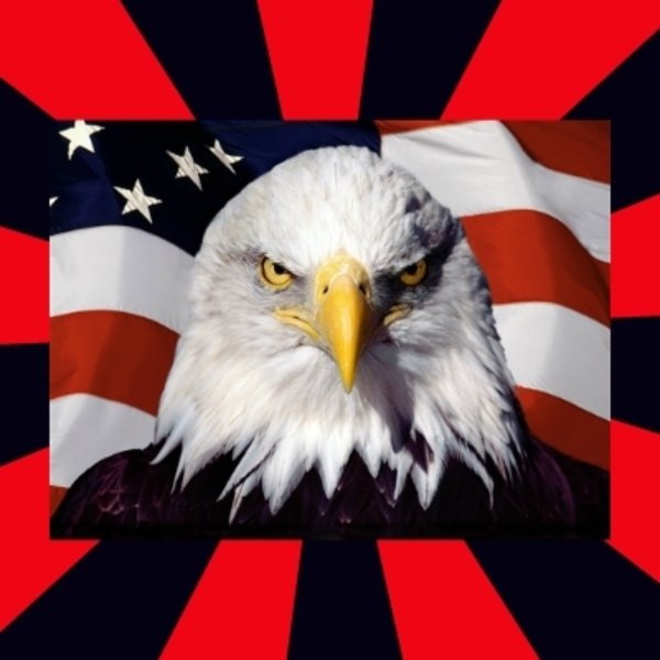 Bald Eagle meme template