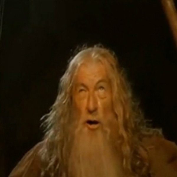 Gandalf You Shall Not Pass meme template