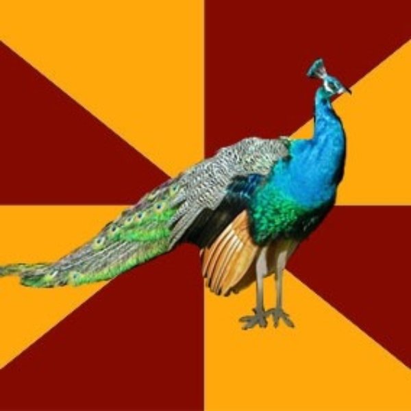 Thespian Peacock meme template