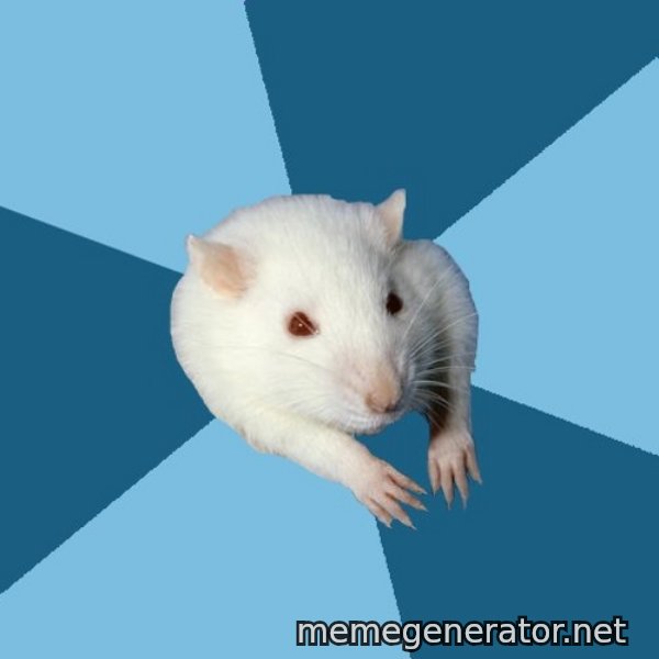 Psychology Major Rat meme template