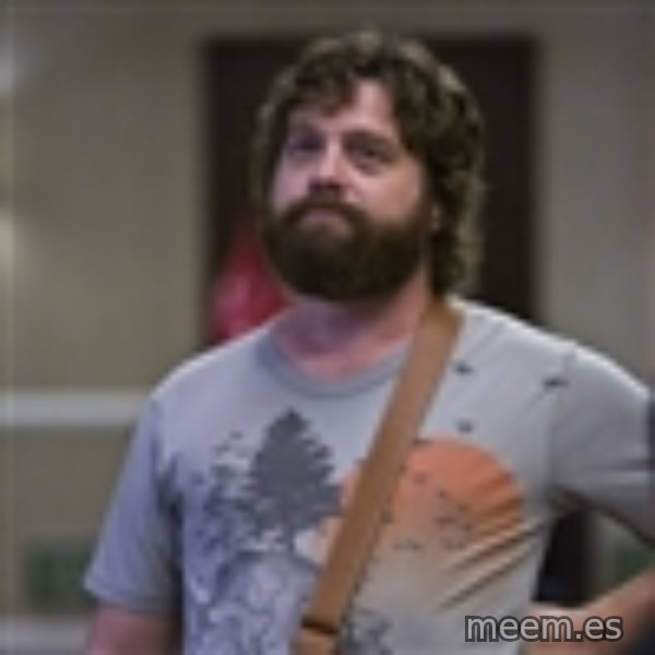 Alan Hangover meme template
