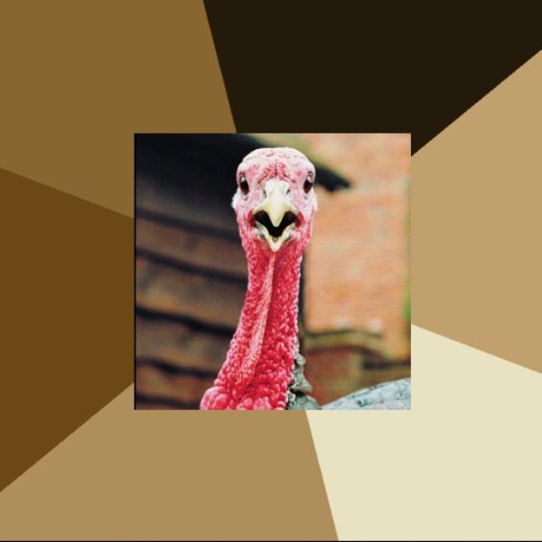 Quirky Turkey meme template