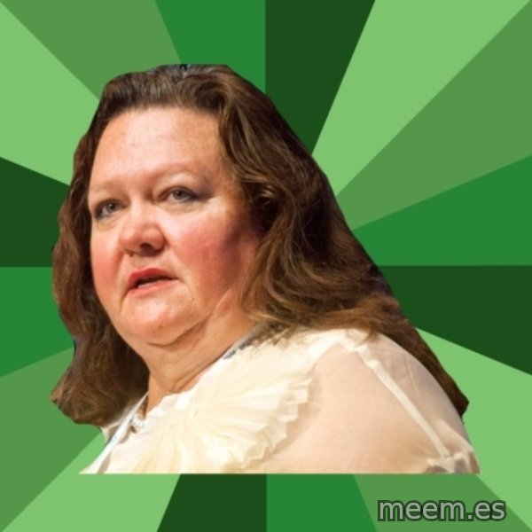 Dumb Whore Gina Rinehart meme template
