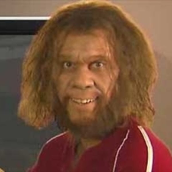 Geico Caveman meme template