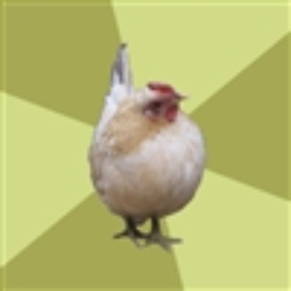 Uneducatedchicken meme template