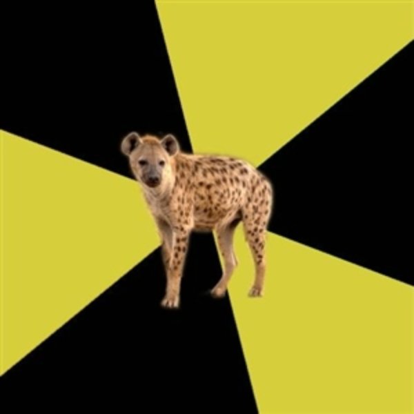High School Hyena meme template