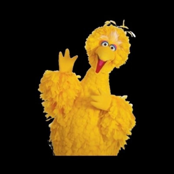 BIG BIRD meme meme template