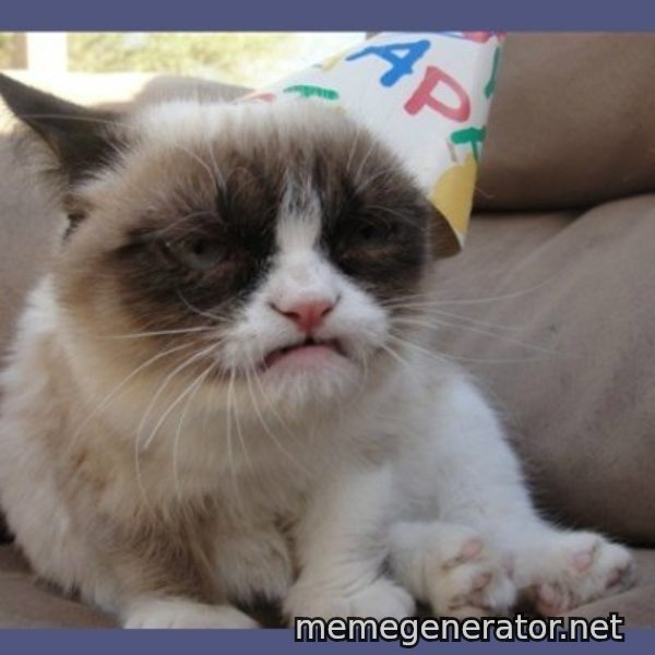 Birthday Grumpy Cat meme template