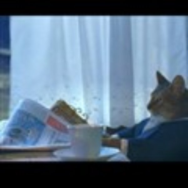 Thinking Cat meme template