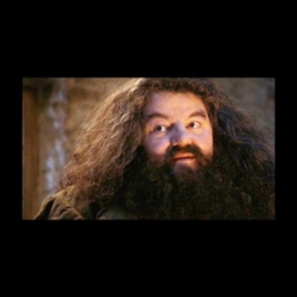 You're a Wizard Harry meme template