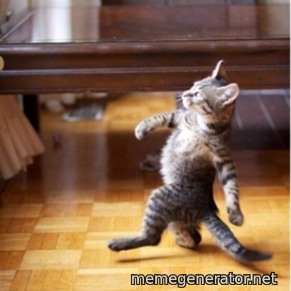 walking cat meme template