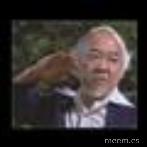 Mr Miyagi meme template