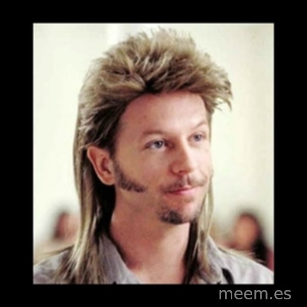Joe Dirt meme template