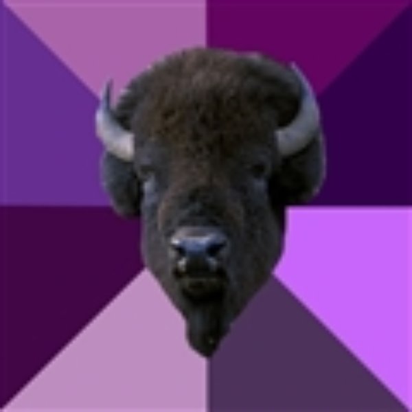 Fuck Yeah Band Buffalo meme template