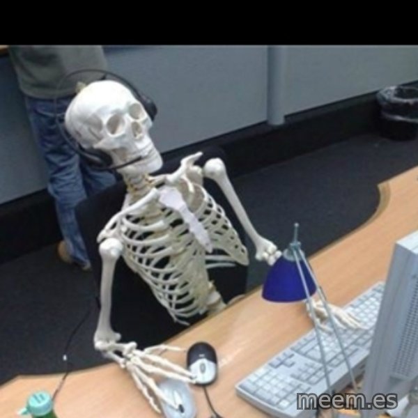 Skeleton computer meme template