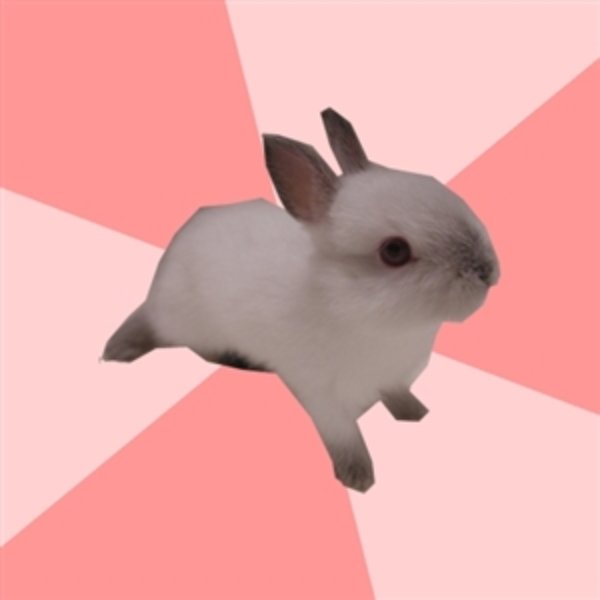 Roleplay Shipper Bunny meme template