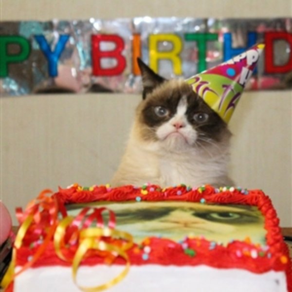 Grumpy Cat Birthday hat meme template