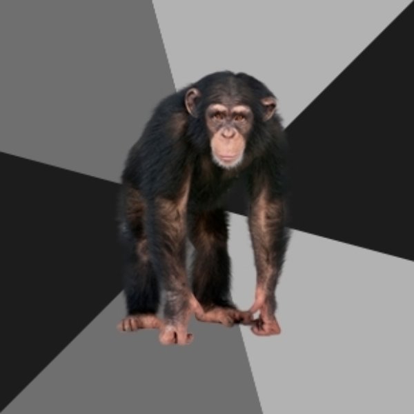 Drunken Monkey meme template