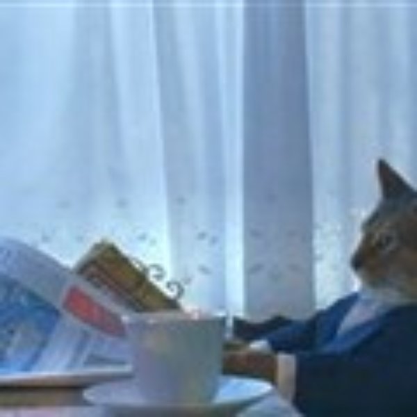 i should buy a boat cat 2 meme template