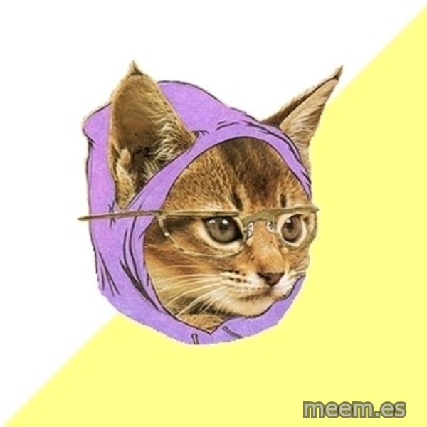 Hipster Kitty meme template