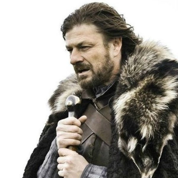 Brace Yourself Winter is Coming. meme template