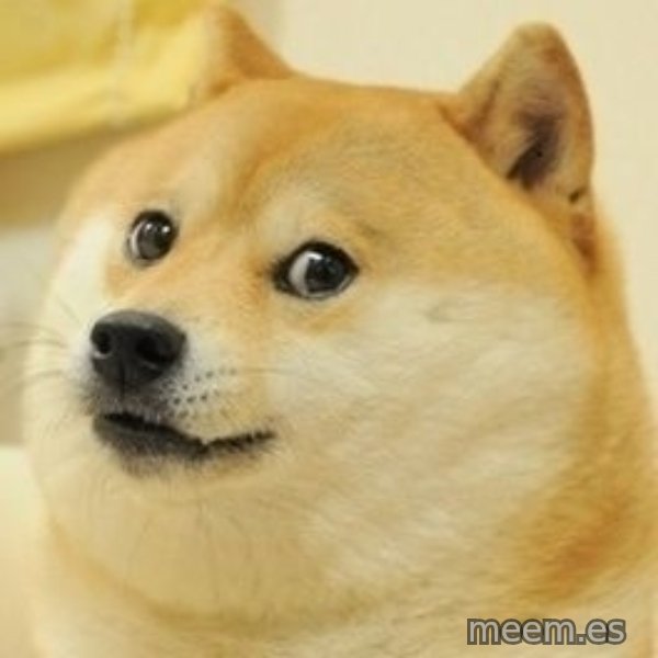wow such doge1 meme template