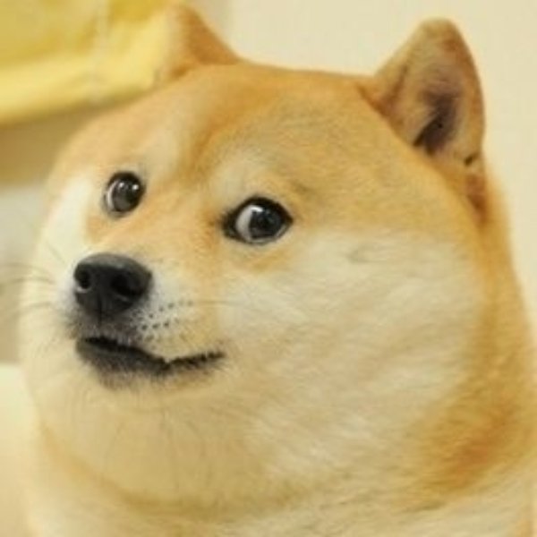 Real Doge meme template