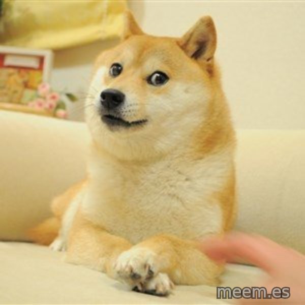 so doge meme template