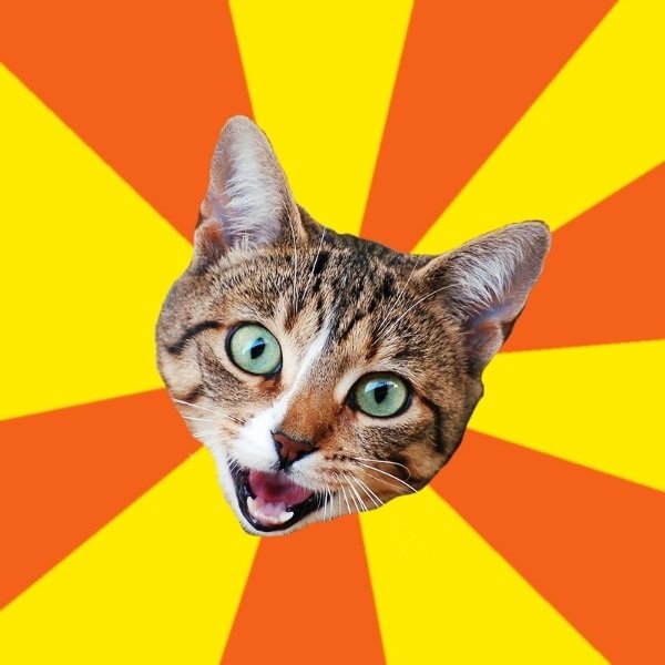 Bad Advice Cat meme template