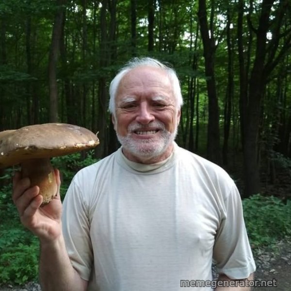 Harold's Mushroom meme template
