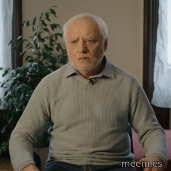 Serious Harold meme template