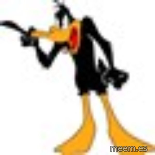 Daffy Duck Angry meme template
